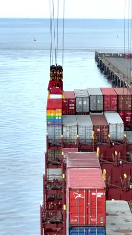 #inclusionalltheway #rainbowcontainers #ventamaersk #maersk #bremerhaven #gay #captainthomas #captain #cph2021 #shipping #youareincluded #lgbtqi