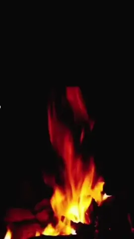 #الجفول #اكسبلور_2020 #اكسبلور #شيلات_روعه_خواطر_ذوق