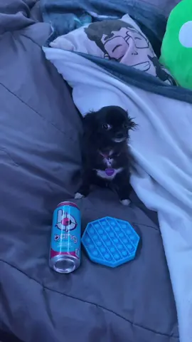 popper puddin? ❤️😂 #bangenergy @bangenergy @bangenergy.ceo