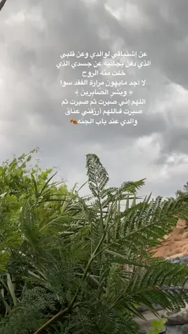 حنيت ياضحكة عمري🥀
