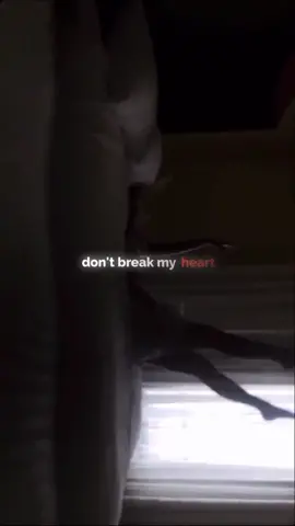 𝙿𝚕𝚎𝚊𝚜𝚎 𝚍𝚘𝚗'𝚝 𝚋𝚛𝚎𝚊𝚔 𝚖𝚢 𝚑𝚎𝚊𝚛𝚝//#aesthetic #blowup #lyrics #fyp #moody_edit