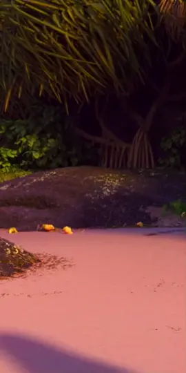 Моана (2016) #moana