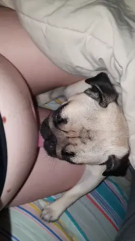 Minha companheira❤ #melhoramiga #amorverdadeiro #carinhoemformadepelos #amorde4patas #pug #dog #Amora #instalove #instadog #filhade4patas #cachorrinho