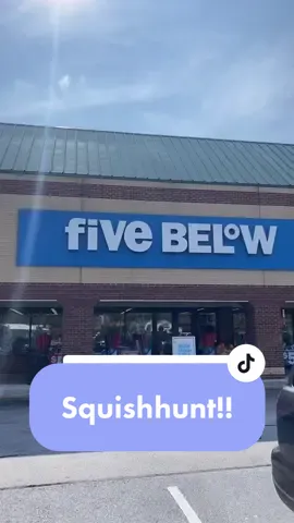 Wowww #squishmallow #squishmallows #squishtok #DontSpillChallenge #squishmallowhunt #squishhunt #fivebelow #fivebelowfinds #5below #squishhaul #squish