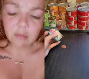 #duet with @theceoofcats hell nawwww