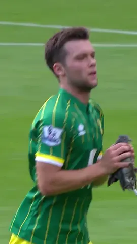 What a star, Howson ✨🐦 #ncfc #uksport #football #pigeon