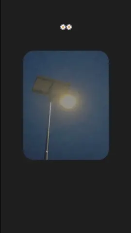 lstnght