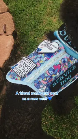 #servicedog #foryoupage #stitch #servicedogteam #servicedoggear #liloandstitch #fyp #FerragamoLetsDance #dog #dogs #disney