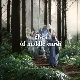 𝑒𝑙𝑣𝑒𝑠 𝑜𝑓 𝑚𝑖𝑑𝑑𝑙𝑒 𝑒𝑎𝑟𝑟ℎ// #thelordoftherings #lordoftherings #thehobbit #hobbit #elves #middleearth #средиземье #властелинколец #хоббит