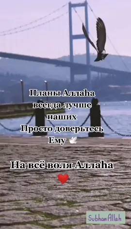#вераваллаhа♡♡♡♡♡♡#сабриншааллах🤲🙏🌸♥️#ислам☪