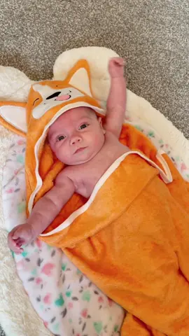 Obsessed Over This Adorable Corgi Towel! 😍🥰🐶 #MomsofTikTok #babiesoftiktok #momlife #familytime