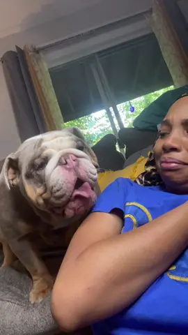 Puhlease come get y’all nephew!! #bigdaddy #englishbulldog