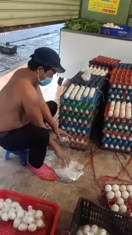 say say vợ bắt ngồi đếm trứng...🤔