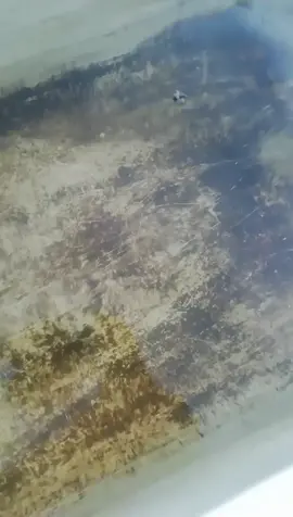 Добрый вечер дорогие друзья #аулым #друзья #счастья #оренбург56