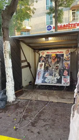 #bg #fyp #fypシ #fy #sandokan32 #friends #foryoupage❤️❤️