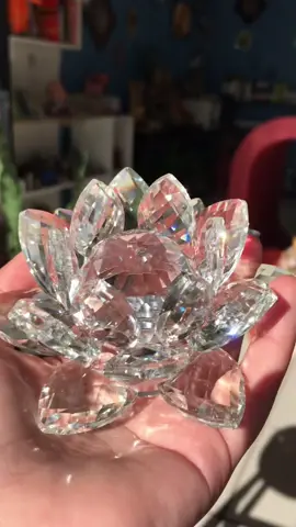 FLOR DE LÓTUS EM CRISTAL ✨✨✨ #fertilidade #mistico #equilibrio #flordelotus #cristal #esoterico