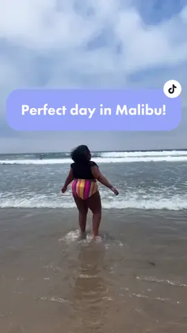THIS is all I’ve ever wanted anytime I‘ve gone to #california & it finally happened!☺️🌺 #fypシ #malibu #summervibes #OOTD #thisopportunity #gooutside