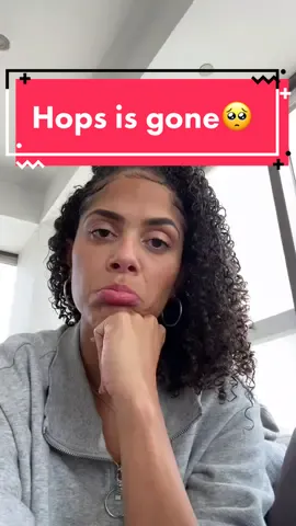 Bye #jumpingspiderhops 🥺♥️ Have fun!