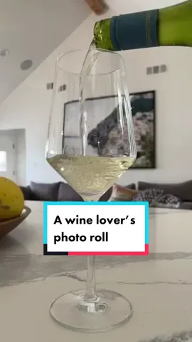 What can I say? I love wine 🍷 Cheers! #beggin #TrendTok #winelover #winenight