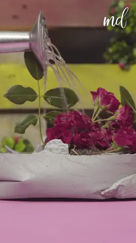 Bring unused thing to life using cement! #crafts  #cement  #cementcrafts  #LearnOnTikTok