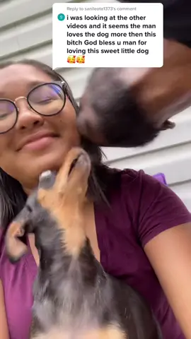 Reply to @sanileota1373 #minpin#chihuahua #bullying #minchi #fyp #cheater #sidechick #mistress #meexplaining #marriedmellinnial #datenight #spoiled