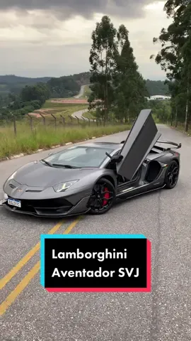 Lamborghini Aventador SVJ Grigio Titans #lamborghini #aventador #svj #grigiotitans #supercar #brasil #fy #foryou #viral