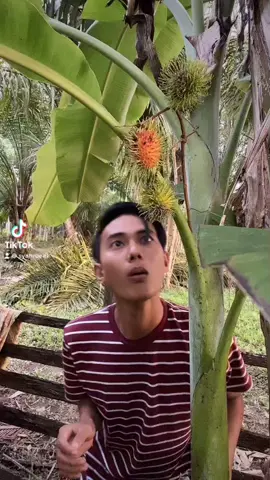 Pelit sekali #Comedyweek #samasamaketawa