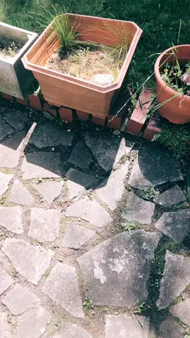 Saturday morning Yoga session #yoga #london #hollythelab #mentalhealthmatters