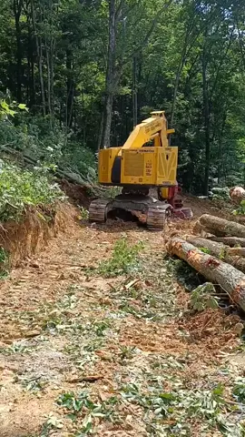 #youknowyoulooked #trackcutter #cutterman #tnlogging #fypシ