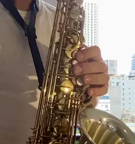 Pls song request I’m running out of ideas  #saxophone #freaks @thienansjstar#VoiceEffects