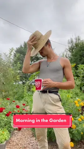 This #morning in the #garden 🌿✨ #gardentok #chicktok #consent #sustainabliving #compost #gardentips #permaculture