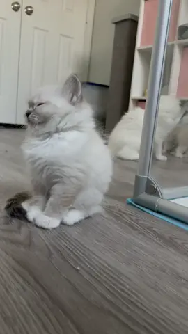 Cookie looked like she was about to fall asleep while standing