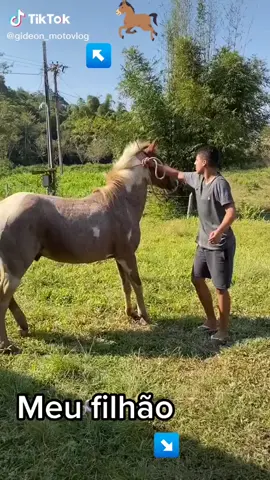 #noisédaroça