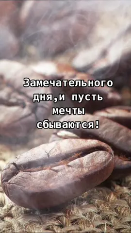 #хорошегонастроения #пожеланиясдобрымутром #сдобрымутром #хорошегодня