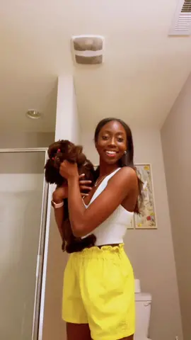 #ColorCustomizer again