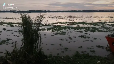 Mỏi lần nhớ e a chỉ biêt đứng đây nhìn qua bên kia . Cách có 1 con sông vàm cỏ mà sao a cảm thấy nó xa quá.