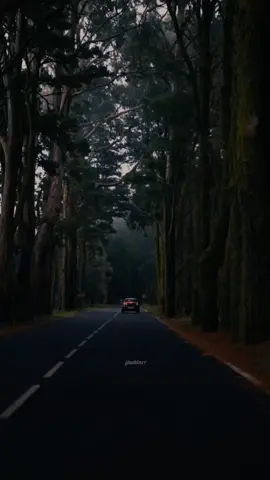 Lo safar suru hogaya❤️🌼#Love #sabin17 #aesthetic #fyp #foryou