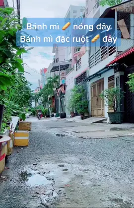 Sài Gòn chiều 20 tháng 7 - Đã bao lâu rồi các bạn chưa được nghe tiếng rao thân thương này ❤️ #banhmi #banhmisaigon #tiktokdieuky #ancungtiktok