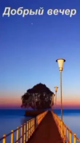 Добрый вечер🌸#добрыйвечер #добрыйвечердрузья