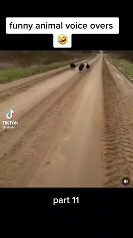 #fypシ  #turkeycomedy  #turkeyseason #2dollartiktok  #UltaSkinTok  @cardofrmdasix 🤣🤣😂😂😂