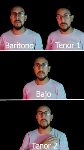 #teteradelmar #unbarcounavezquisonavegar #coro #viral #quito #tiktoksinger #bassman #vozgrave #cover