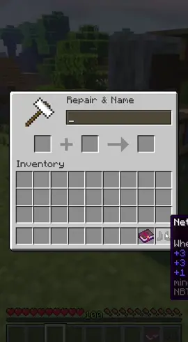 Don't Waste Your Levels! #Minecraft #fy #fypage #viral #mcyt #minecrafthacks #minecraftfunny #mc