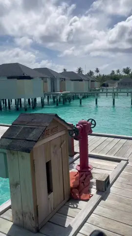 #تونسيه #maldives #amari #havoda