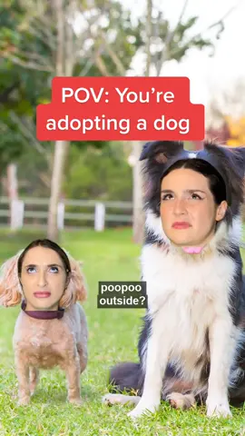We have seen a dog before. We swear. 🐶#dogadoption #dogthoughts #sketchcomedy #innerthoughts #dogsbelike