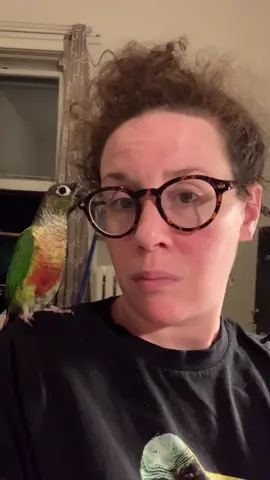 Birb life 🦜 #birb #birdsoftiktok #conure #birdtok #pet #DontQuitYourDaydream #conure