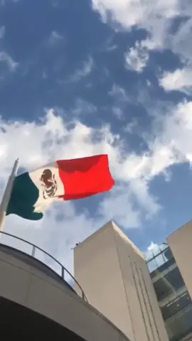 otro video más del Senado de la República !  ⚖️🇲🇽 #foryou #parati #Mexico #politica #CamaraDeSenadores