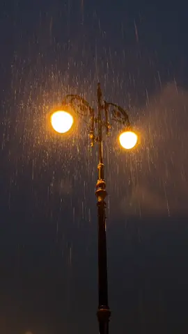 هذه الأيّام علمتنا قيمة اللقاء الأخير #تصويري #اكسبلور #explore #fyp #تصويري_تصميمي #حركه_الاكسبلور #تصوير #تصويري_احترافي #اكسبلوررررر #مطر