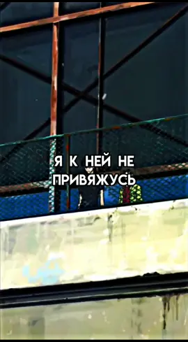 #эхотерора #terrorinresonance #zankyounoterror #резонансужаса #twelve #двенадцатый #аниме #anime