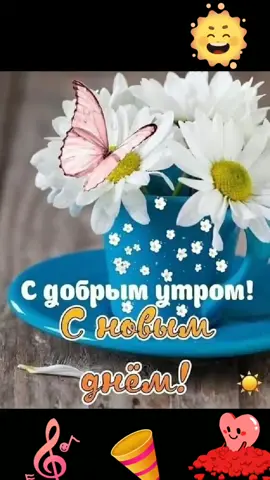всем доброе утро и хорошего дня!!