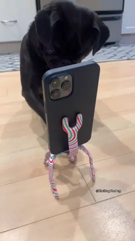 People that thought Kiwi didn’t record and edit her own videos ➡️🤡 #LeadWithLove #DontQuitYourDaydream